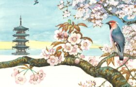 会員限定展示